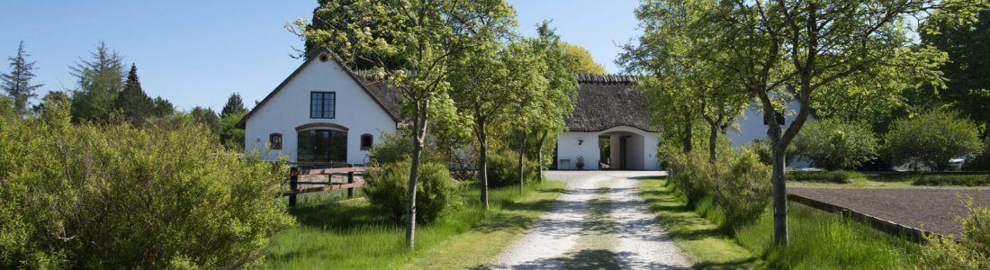 513025269_10162053557824902_4366334459713192886_n 513025269_10162053557824902_4366334459713192886_n